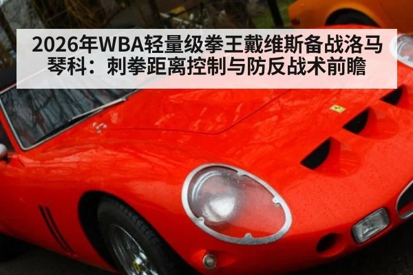 2026年WBA轻量级拳王戴维斯备战洛马琴科：刺拳距离控制与防反战术前瞻