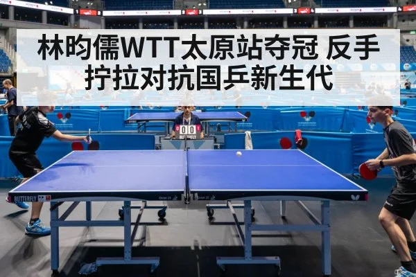 ping pong championship match
