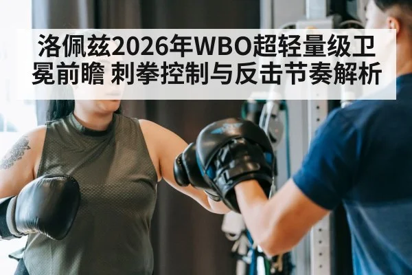 boxer training focus mitts